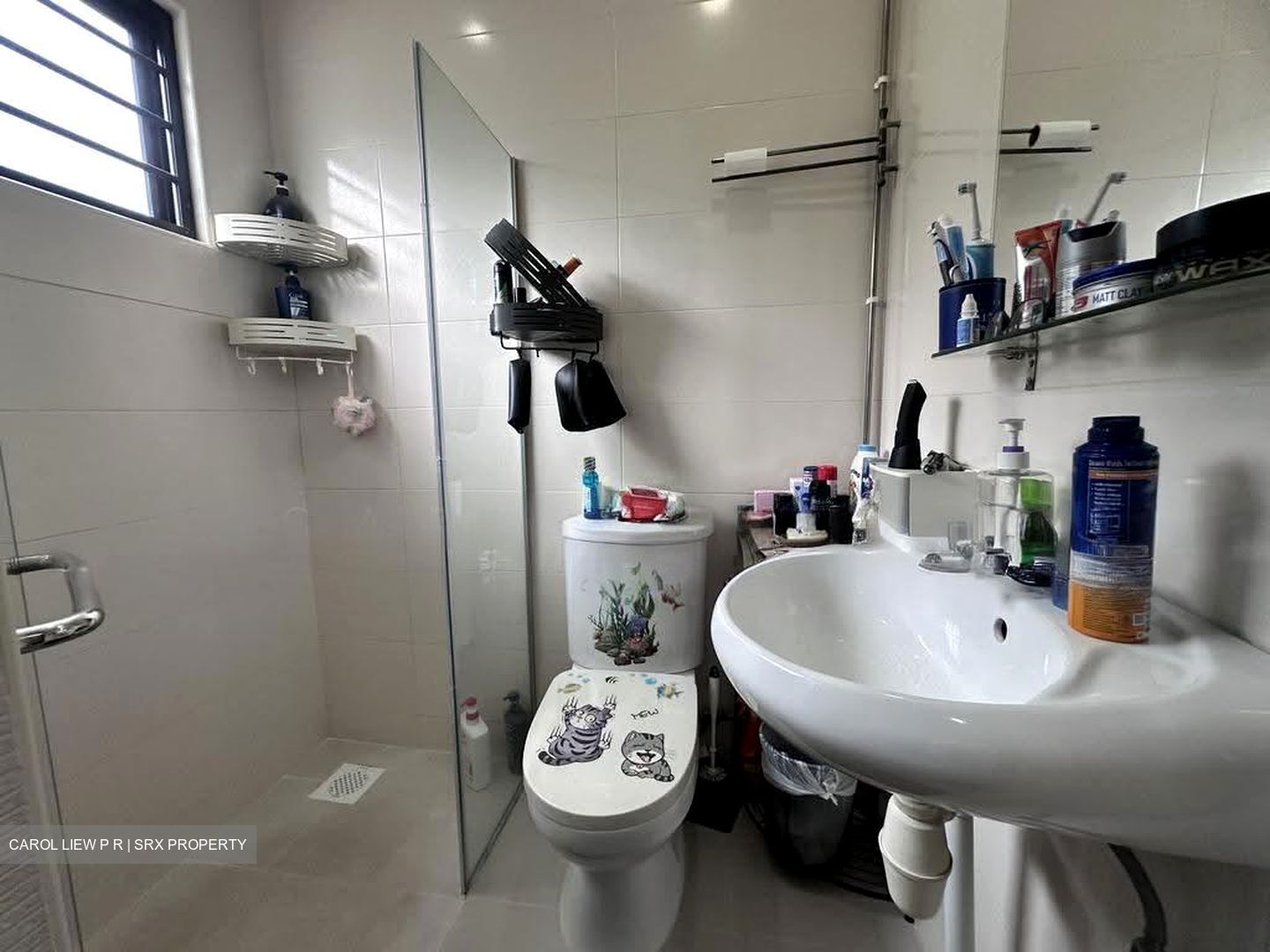 Hong Kong Park (D21), Detached #634238921